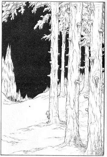 Иллюстрация к книге — Наследник пиратов [i_095.jpg]