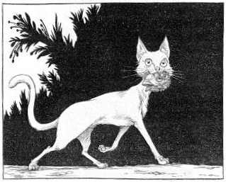 Иллюстрация к книге — Наследник пиратов [i_130.jpg]