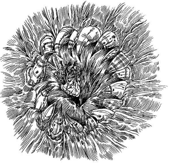 Иллюстрация к книге — За Темными Лесами [i_045.jpg]