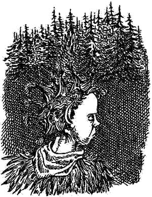 Иллюстрация к книге — За Темными Лесами [i_064.jpg]