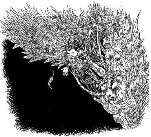 Иллюстрация к книге — За Темными Лесами [i_074.jpg]