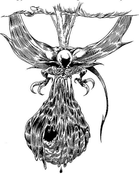 Иллюстрация к книге — За Темными Лесами [i_078.jpg]