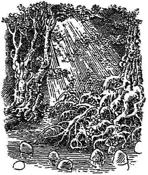 Иллюстрация к книге — За Темными Лесами [i_094.jpg]