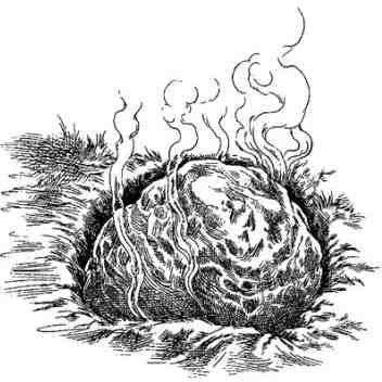 Иллюстрация к книге — За Темными Лесами [i_106.jpg]