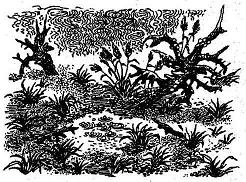 Иллюстрация к книге — Громобой [i_035.jpg]