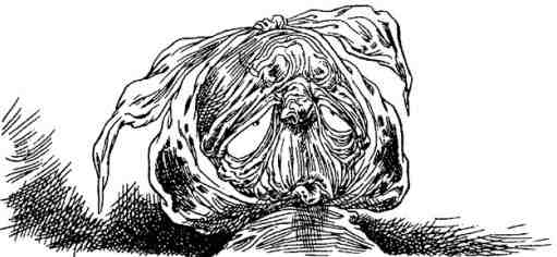 Иллюстрация к книге — Громобой [i_105.jpg]