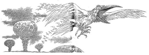 Иллюстрация к книге — Полночь над Санктафраксом [i_040.jpg]