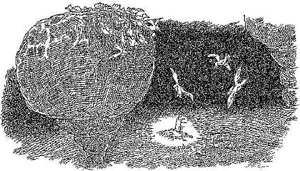 Иллюстрация к книге — Полночь над Санктафраксом [i_041.jpg]