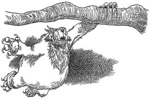 Иллюстрация к книге — Полночь над Санктафраксом [i_106.jpg]