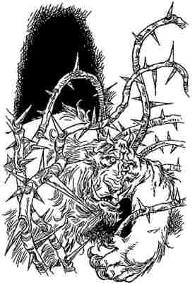 Иллюстрация к книге — Полночь над Санктафраксом [i_119.jpg]