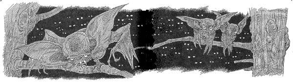 Иллюстрация к книге — Полночь над Санктафраксом [i_122.jpg]