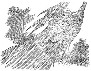 Иллюстрация к книге — Полночь над Санктафраксом [i_139.jpg]