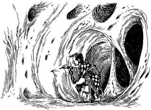 Иллюстрация к книге — Древний странник [i_068.jpg]