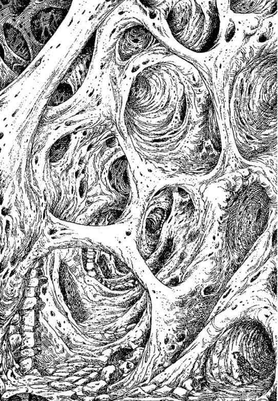 Иллюстрация к книге — Древний странник [i_070.jpg]