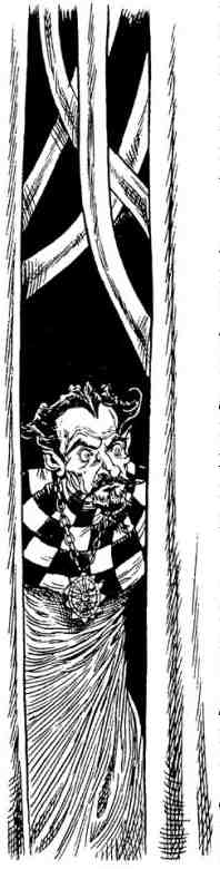 Иллюстрация к книге — Древний странник [i_121.jpg]