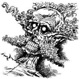 Иллюстрация к книге — Древний странник [i_130.jpg]