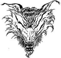 Иллюстрация к книге — Последний воздушный пират [i_008.jpg]