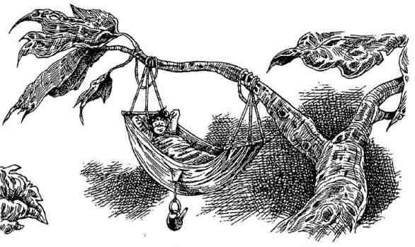 Иллюстрация к книге — Последний воздушный пират [i_062.jpg]