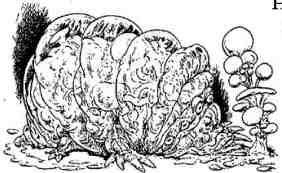 Иллюстрация к книге — Последний воздушный пират [i_084.jpg]