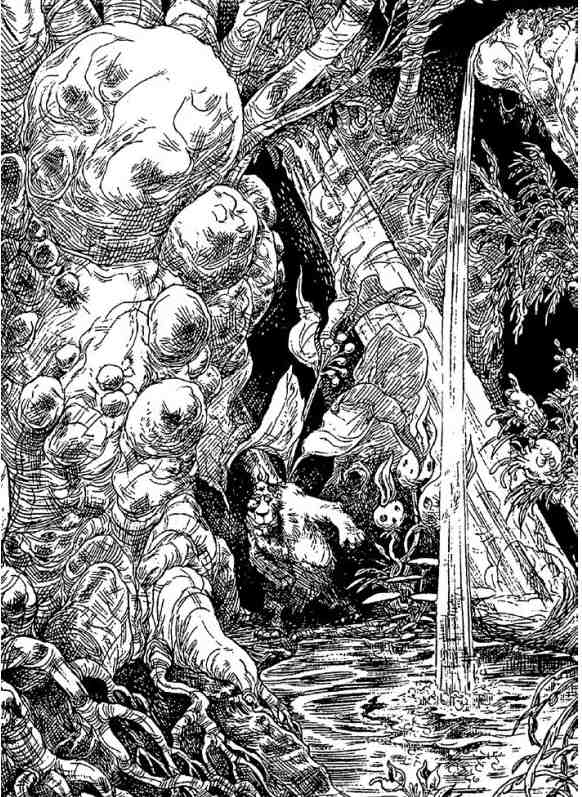 Иллюстрация к книге — Последний воздушный пират [i_107.jpg]