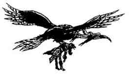 Иллюстрация к книге — Последний воздушный пират [i_142.jpg]