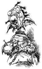 Иллюстрация к книге — Академик Вокс [i_021.jpg]