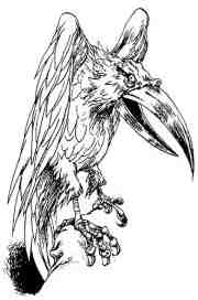 Иллюстрация к книге — Академик Вокс [i_026.jpg]