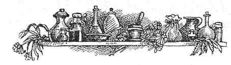 Иллюстрация к книге — Академик Вокс [i_110.jpg]