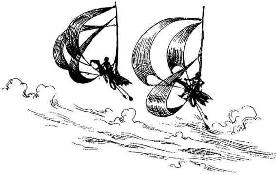 Иллюстрация к книге — Вольная Пустошь [i_113.jpg]