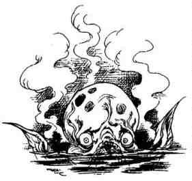 Иллюстрация к книге — Вольная Пустошь [i_136.jpg]