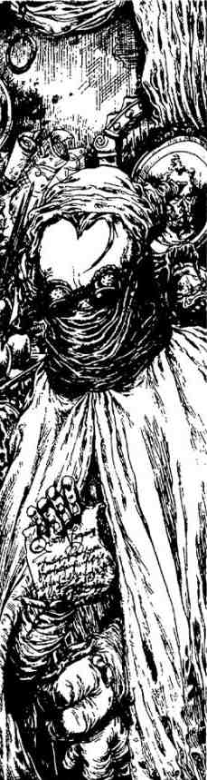 Иллюстрация к книге — Зимние рыцари [i_070.jpg]