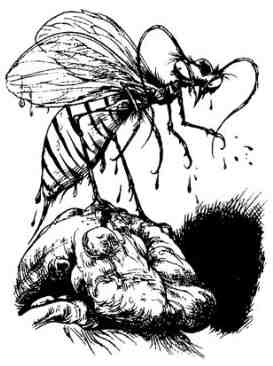 Иллюстрация к книге — Зимние рыцари [i_095.jpg]