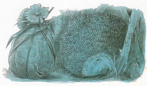 Иллюстрация к книге — Подарки в День Рождения [i_010.jpg]