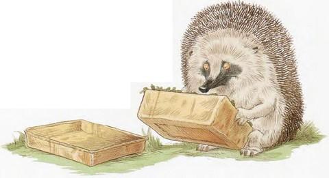 Иллюстрация к книге — Подарки в День Рождения [i_020.jpg]