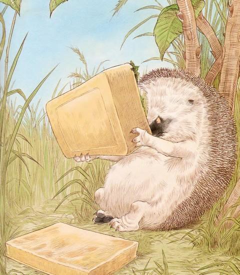 Иллюстрация к книге — Подарки в День Рождения [i_025.jpg]