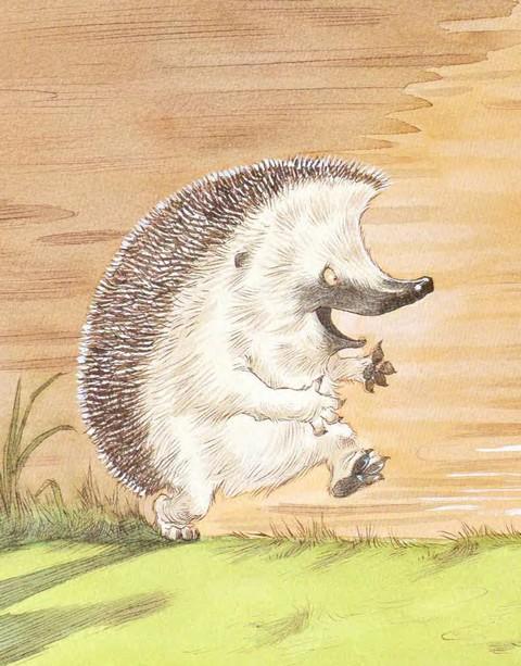 Иллюстрация к книге — Подарки в День Рождения [i_026.jpg]