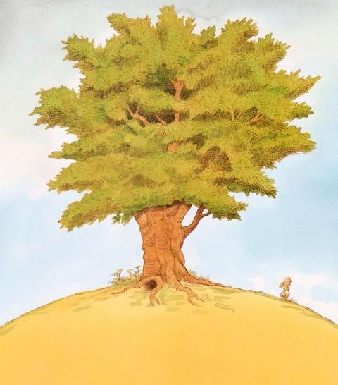 Иллюстрация к книге — Мечты сбываются [i_003.jpg]