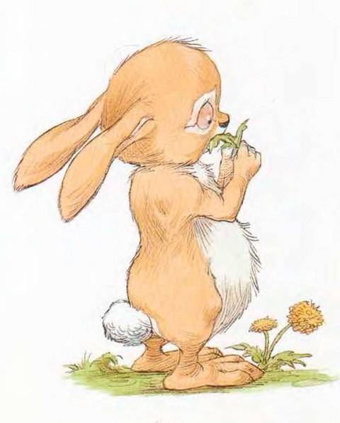 Иллюстрация к книге — Мечты сбываются [i_005.jpg]