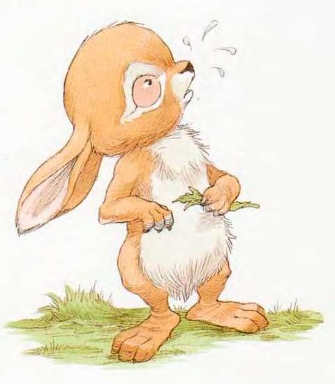 Иллюстрация к книге — Мечты сбываются [i_006.jpg]