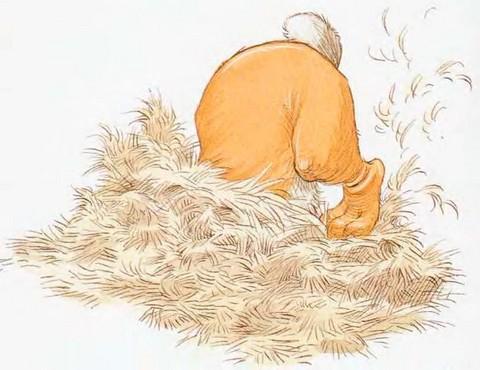 Иллюстрация к книге — Мечты сбываются [i_012.jpg]