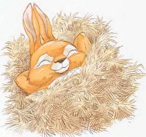 Иллюстрация к книге — Мечты сбываются [i_013.jpg]