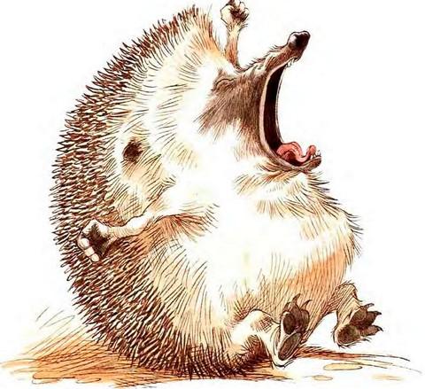 Иллюстрация к книге — Кусочек зимы [i_006.jpg]