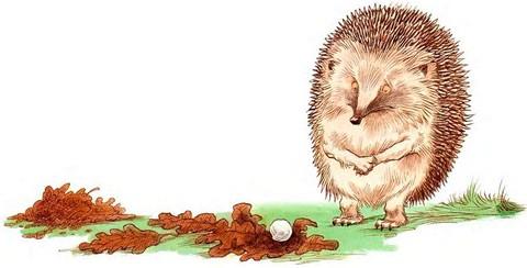 Иллюстрация к книге — Кусочек зимы [i_027.jpg]