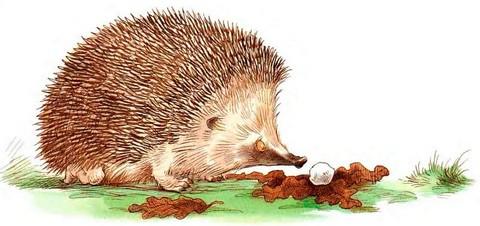 Иллюстрация к книге — Кусочек зимы [i_028.jpg]