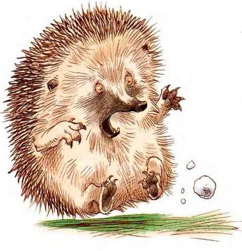 Иллюстрация к книге — Кусочек зимы [i_030.jpg]