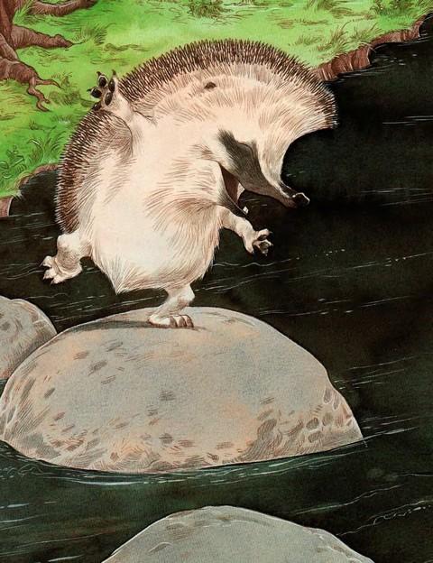 Иллюстрация к книге — А ну-ка, вспоминай! [i_018.jpg]