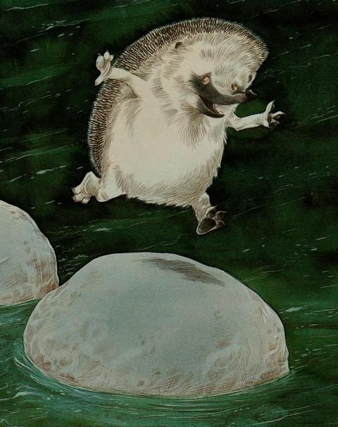 Иллюстрация к книге — А ну-ка, вспоминай! [i_022.jpg]