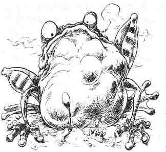 Иллюстрация к книге — Джо Варвар и Чвокая Шмарь [i_048.jpg]