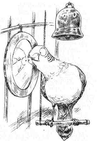 Иллюстрация к книге — Джо Варвар и Чвокая Шмарь [i_072.jpg]