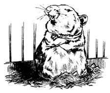 Иллюстрация к книге — Пришельцы с Плюха [i_032.jpg]